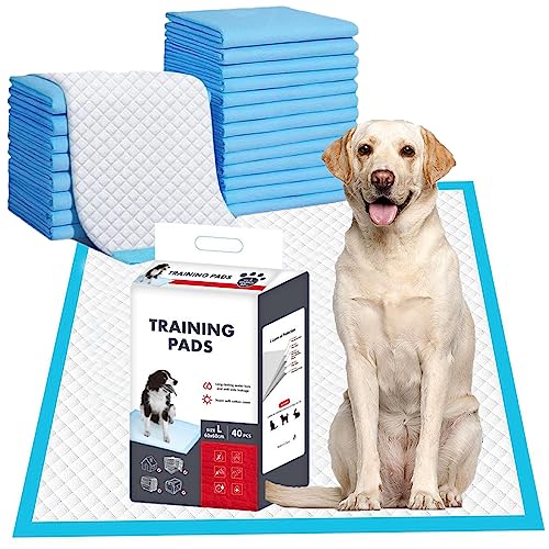 Almohadillas de Entrenamiento Desechables para Mascotas,Almohadillas Desechables para Orinal para Perros ,40 Piezas Súper Absorbentes y a Prueba de Fugas,Grandes 60X60CM,para Perros, Gatos, Conejos