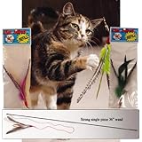 Da Bird Single 3 Foot Pole Cat Toy with 2 Extra Guinea Feather Refills