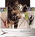 CoolCyberCats GoCat Da Bird Rod and Feather Cat Toy, Handmade in The USA (3 Birds)
