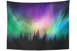 Emvency Tapestry Wall Hanging Colorful Canada Multicolored Northern Lights Borealis Canadian Forest 60" x 80" Home Decor Art Tapestries for Bedroom Living Room Dorm Apartment