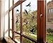 Anti-Collision Window Bird Stickers Decals Glass Door Protect and Save Bird Strikes (Black)