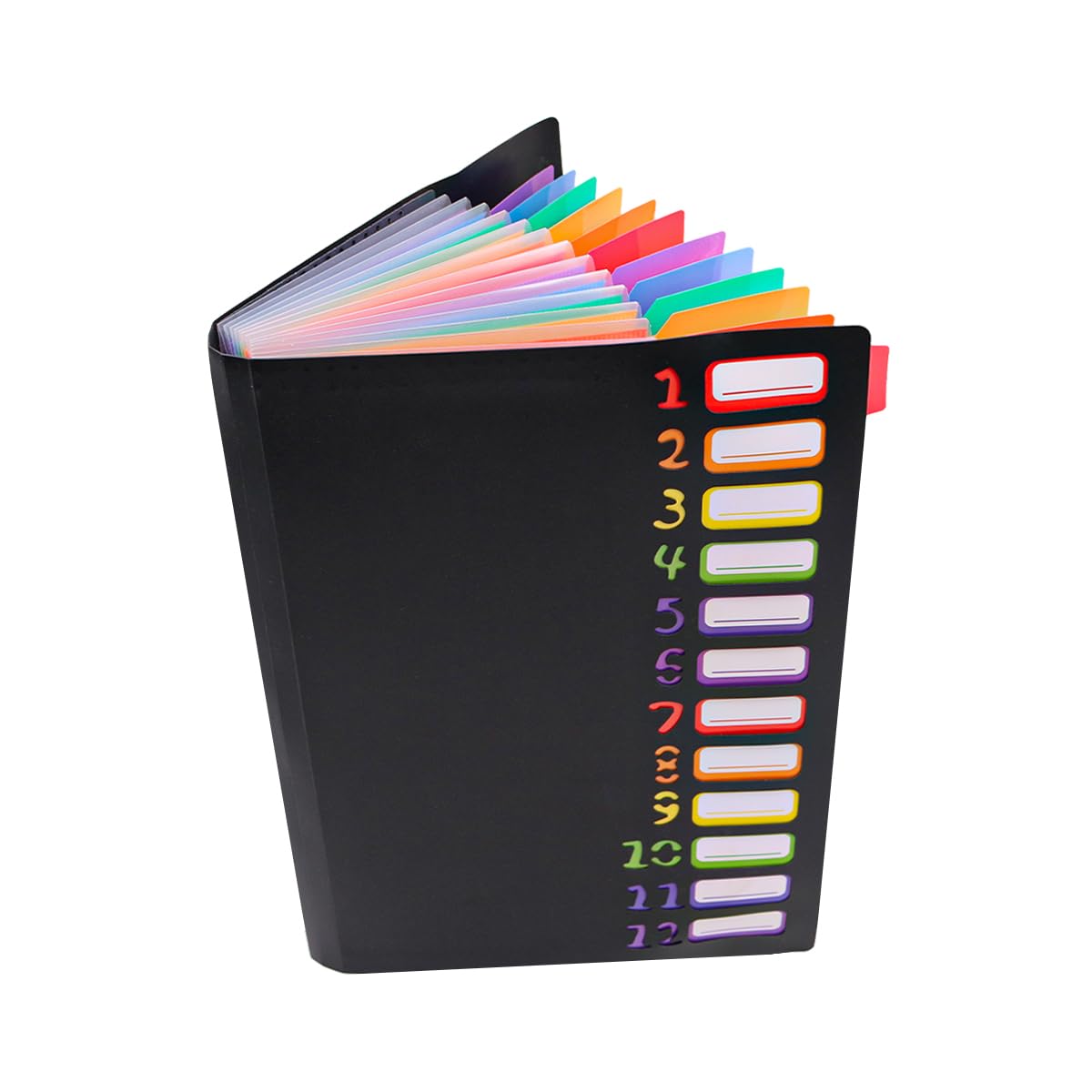 Hsthe Sea Document Folder A4 Portable Expanding File with 12 Compartments Plastic Accordion Document Organiser for School Office Supplies (Black)