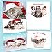 Christmas Cats Holiday Card Assortment Pack / 25 Seasonal Kitten Greeting Cards And Envelopes / 5 Sleeping Santa Animal Designs And Christmas Messages