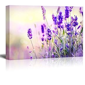 Canvas Prints Wall Art - Lavender Field | Modern Wall Decor/Home Art Stretched Gallery Canvas Wraps Giclee Print & Ready to Hang - 12" x 18"