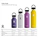 HYDRO FLASK 21 Oz Standard w Flex Cap Mango, 1 EA