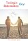 Livro Teologia Sistemática Gay: Teologia inclusiva