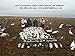 Sillosocks Econo Snow Goose Decoys 10dz. Pack (SS1470) by Sillosock Decoys