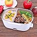 Electric Lunch Box Food Warmer Heater for Car and Home with Removable 304 Stainless Steel Storage Container Warming Bento 2 in 1 Car 12V/24V and Home Use 110V (Blue)