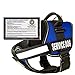 Real Service Dog Vest Harness + 50 ADA Info Cards Kit (Blue, (30