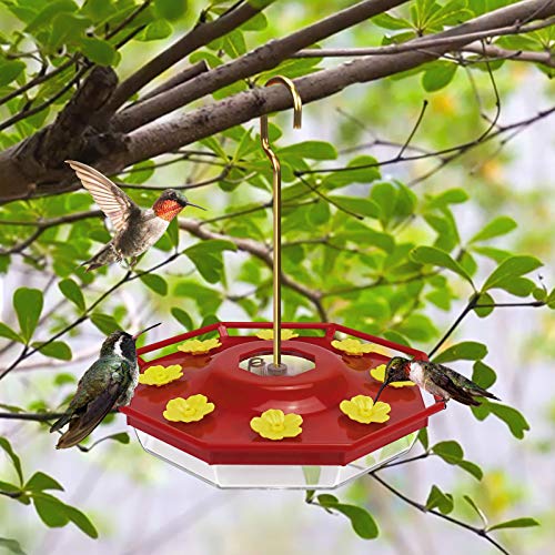 Ordenado Hummingbird Feeder, 16 oz Fluid Hummingbird Feeder for Outdoor, Hanging Bird Feeder with 8 Feeding Ports, Easy to Fill & Clean, Not Easy to Leak