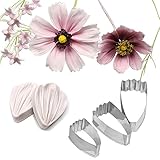 AK ART KITCHENWARE Daisy Petal Sugar Flower Making Tool Leaf and Petal Tool Kit Stainless Steel Cutter Mold Silicone Veining Mold Petal Texture Tool A336&VM071-1