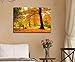 wall26 Canvas Print Wall Art Yellow & Orange Autumn and Fall Forest Floral Nature Photography Realism Rustic Scenic Relax/Calm Multicolor for Living Room, Bedroom, Office - 24