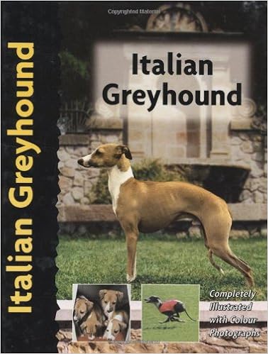 Italian Greyhound (Pet Love S.) �n�[�h�J�o�[  - 2002/8/31