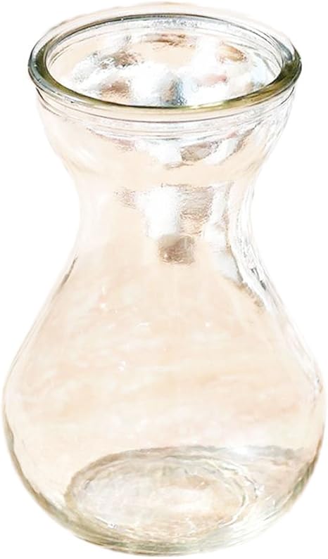 Amazon Co Jp 花瓶 ガラス おしゃれ 一輪挿し 円柱 水耕栽培用 ガラスの花瓶 インテリア 雑貨 装飾用品 容器 卓上置物 ドライ花瓶 フローラ カボチャボトル 大さな口 花瓶 人気 透明 ホーム キッチン