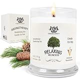 Wildwoods (Cedarwood & Vanilla) Aromatherapy Deodorizing Soy Candle For Pets, Candles Scented, Pet Odor Eliminator & Animal Lover Gift - 6 OZ (170 g)