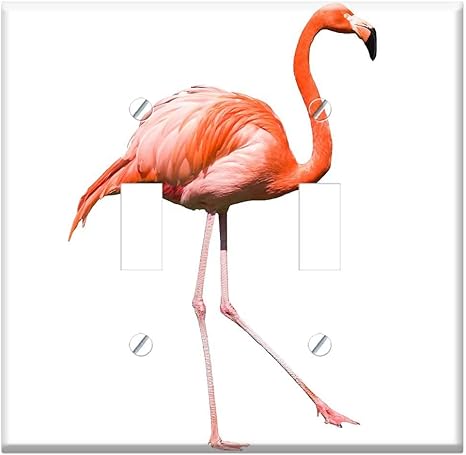 Amazon Co Jp ウォールプレートカバー フラミンゴ 鳥 羽 野生動物 くちばし ネック エキゾチック Wall Dt 9fh1p79vs3y2 Diy 工具 ガーデン
