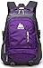 School Backpack BookBag For College Travel Hiking Fit Laptop Up to 15.6 Inch Water Resistant Book Bag (Purple)