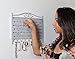Mango Steam Wall Mounted Closet/Wardrobe Display Hanger Organizer for Jewelry & Earrings With Hooks for Necklaces, Bracelets, Accessories - Silver
