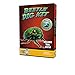 Discover with Dr. Cool Real Beetle in Acrylic Beetle Digging Kit