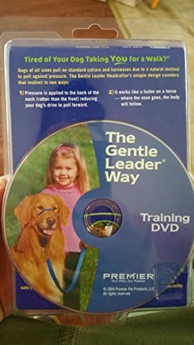 gentle leader headcollar video