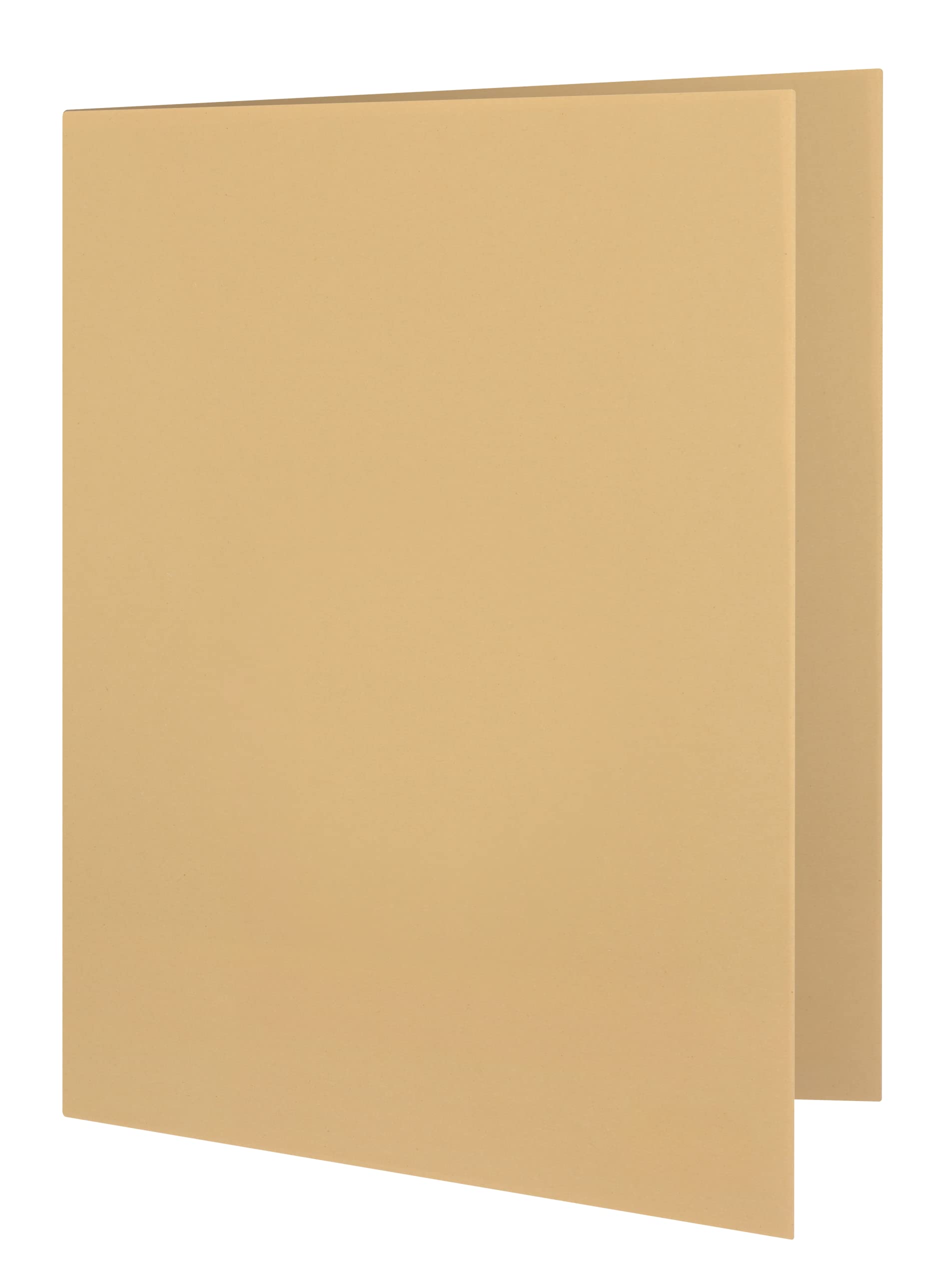 Elba 32450BL Document Cover 250 g/sq. m Manila Cardboard for 100 DIN A4 Pages Set of 100 Blue Folder Chamois