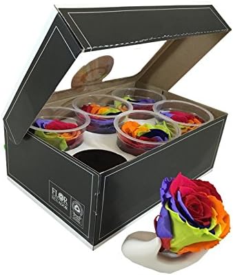 Preserved roses 6 pack extra large head roses Rainbow