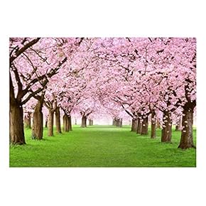 Beautiful Cherry Blossom Trees Landscape Wall Mural
