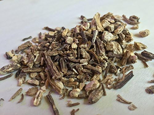 Angelica, Angelica archangelica Organic ~Sacred Herbs and Spices from Schmerbals Herbals