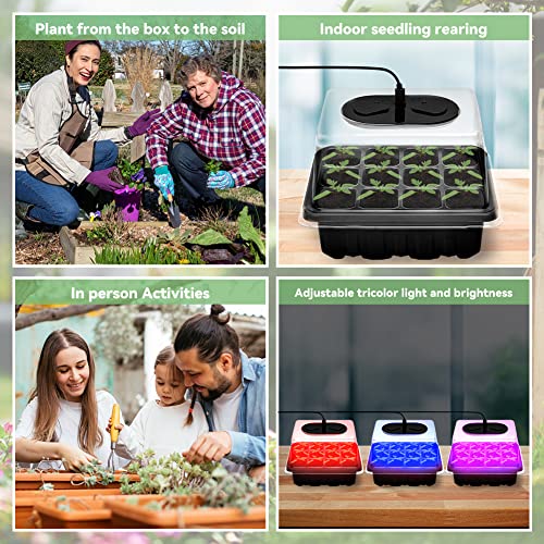 5 Set Seed Starter Trays Kit with 3 Grow Light, Seed Plant Starting Tray with Adjustable Red Purple Blue Lights Brightness & Humidity for Indoor Seed Growing Germinating, Heighten Lid/60 Cells