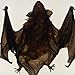 Real Bat in Acrylic Block - Small