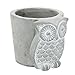 Handmade Gray Unglazed Cement Owl Succulent Planter/Mini Bud Flower & Herb Pot