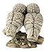 Owls Perched on Branch Figurine Collectible Statue