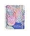 Lilly Pulitzer 17 Month Large Agenda, Personal Planner, 2018-2019 (Gypset)