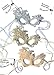 Samantha Peach Masquerade Mask - Luxury Lace Renaissance Women's Masquerade Ball Mask (Gold)