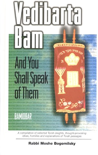 Download Vedibarta Bam: And You Shall Speak of Them - Bamidbar (English Edition) PDF