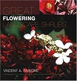 Great Flowering Landscape Shrubs by 