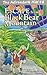 The Adirondack Kids #8: Escape from Black Bear Mountain