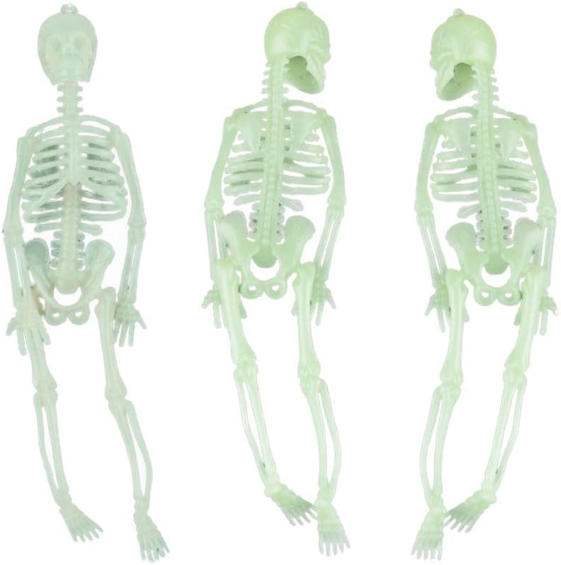 Amosfun 3 Pcs 20CM Luminous Skeleton Props Halloween Hanging Skull Glowing Decor Haunted House Glow in the Dark Prop