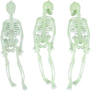 Amosfun 3 Pcs 20CM Luminous Skeleton Props Halloween Hanging Skull Glowing Decor Haunted House Glow in the Dark Prop