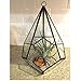 Imagine Branch Rustic Geometric Glass Terrarium - Indoor/Outdoor Industrial Finish (Glass, 10 Inch Tear Drop)
