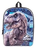 Character Backpacks For School, Summer Camp, Travel and Outdoors With Adjustable, Padded Back Straps (Jurassic World, 15