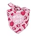 Dog Birthday Bandana - Girl Medium, Large