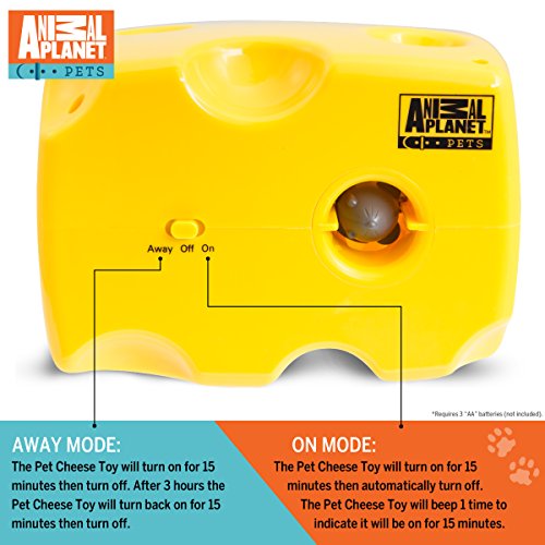 Animal Planet Automatic Peek A Boo Mouse Cheese Interactive