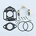 KIPA Carburetor Repair Rebuild kit For Onan Engine P126G P128G P220G OL16 OL18 OL20 LX720 LX770 LX790 B48G-GA020 B48G-GA19.9 OEM # 146-0657 Replace NIKKI Carburetor 146-6100 146-0479 146-0414 146-0496
