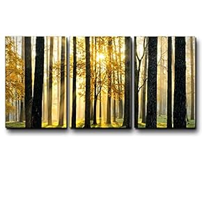 Three Piece Canvas - Tree Forest During Fall Time with The Sun Peeking Through on 3 Panels - Canvas Art Home Art - 16x24 inches