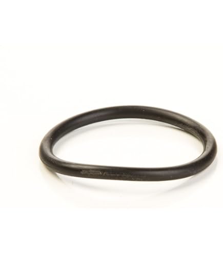 Amazon.com : Briggs & Stratton 691606 O Ring Seal Replaces 65978
