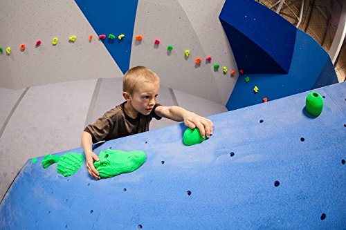 Alligator | Bolt-on Rock Climbing Holds | Green