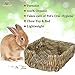 SunGrow Portable Grass Bed for Rabbits, Handmade and Washable Basket, Chew Toy, Easy to Dry, Sleeping, Chewing, Nesting Pad, Small Animal Bunny Bedding