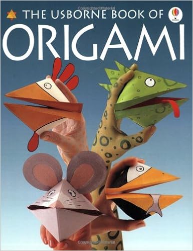 The Usborne Book Of Origami How To Make Series Eileen O