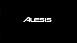 Amazon.com: Alesis Professional Electronic Drum Kit, Red Sparkle